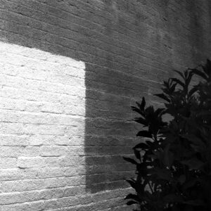 Wall, london, 2013